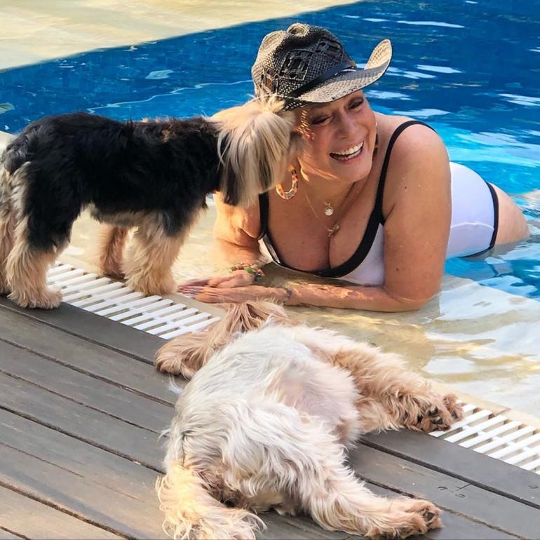 женщина в бассейне с собаками