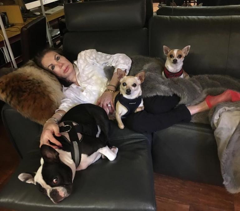 Джеки Сталлоне с собаками лежит на кровати