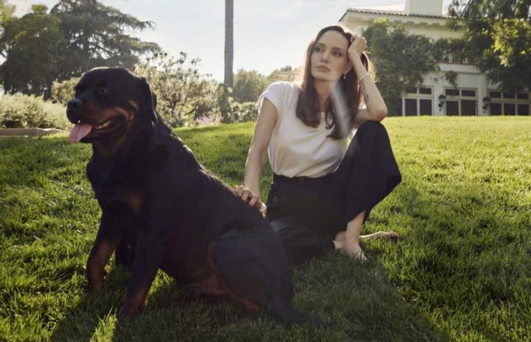 Анджелина Джоли на лужайке сидит с собакой