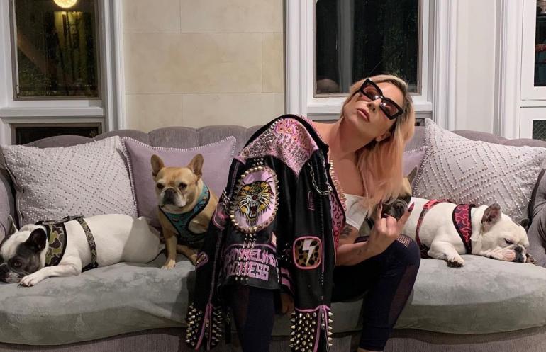 Леди Гага с собаками