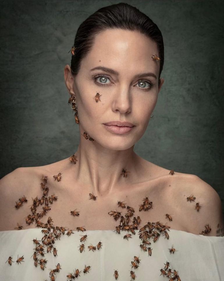 Анджелина Джоли с пчелами на лице