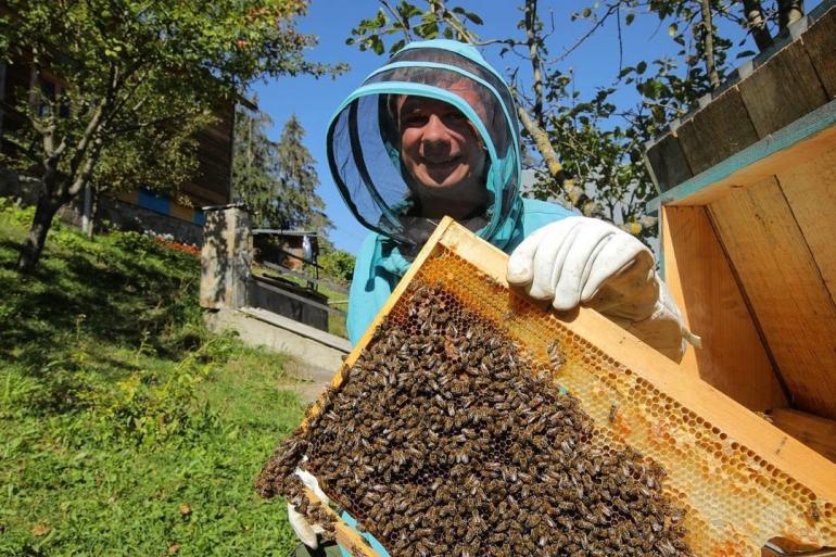 Дмитрий Комаров с пчелами