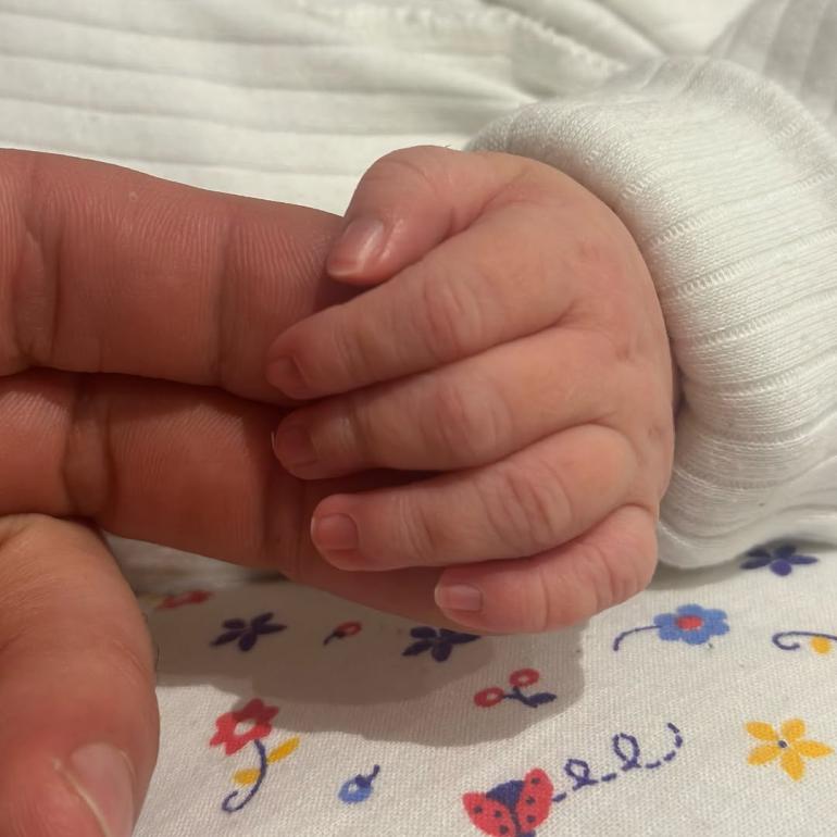 ручка маляти